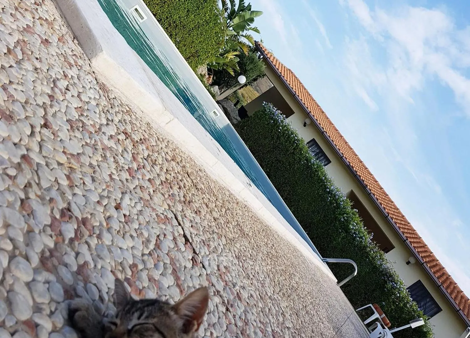 公寓 Wohnung 1 Zwei Zimmer Wohnung In Cattolica Eraclea 意大利